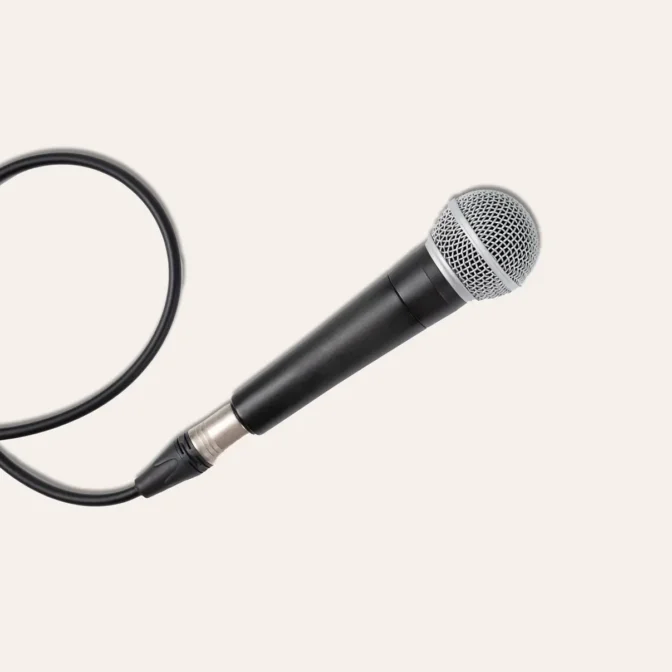 Microphone SM58